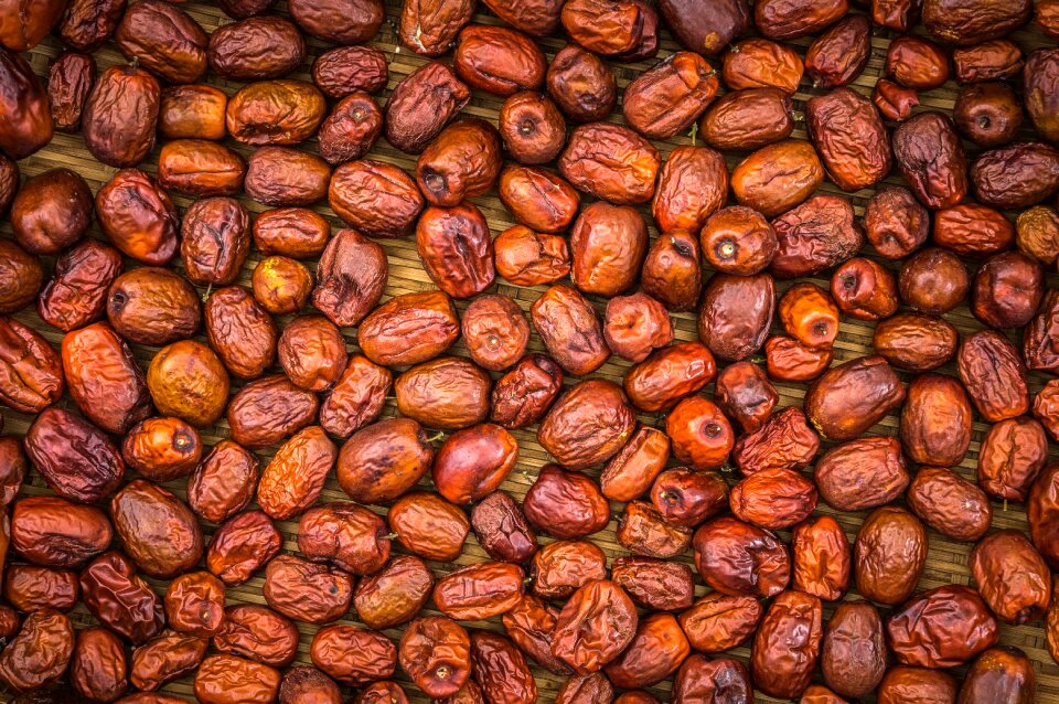 Plants food nature