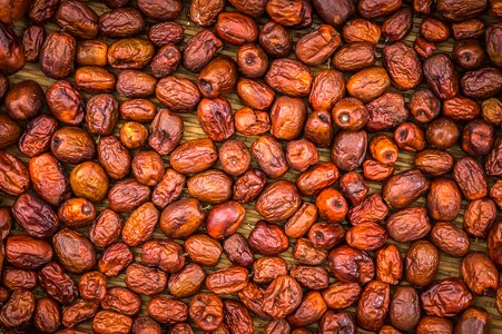 Plants food nature