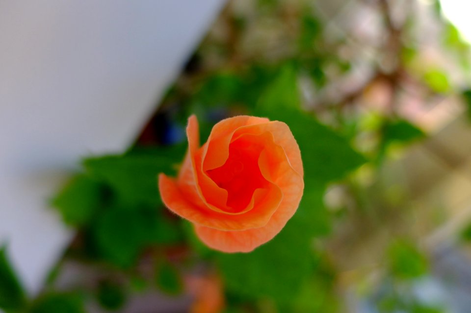 DSCF1301