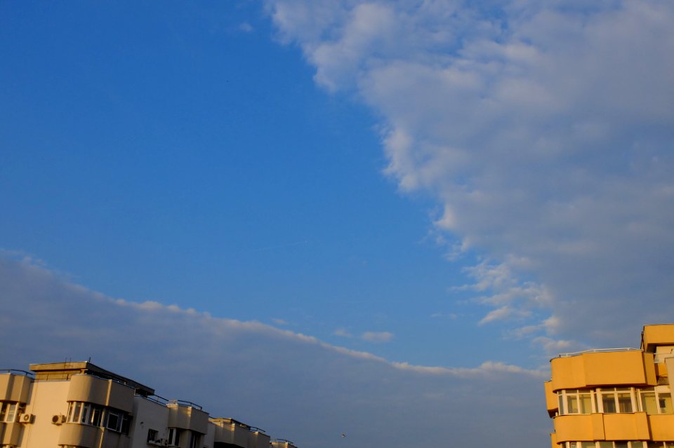 DSCF1287