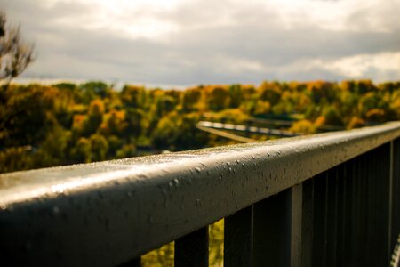 Park landscape autumn