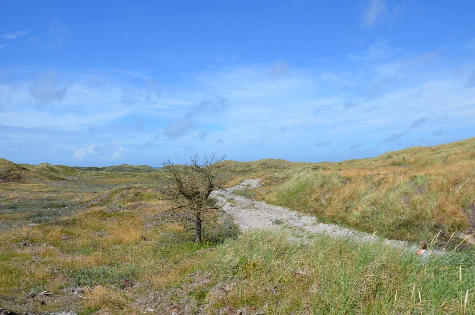 Dunes vacations summer
