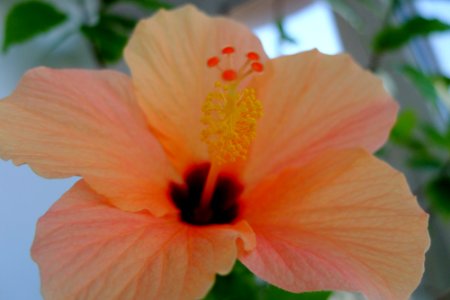DSCF1032