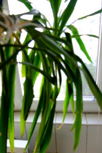 DSCF1074