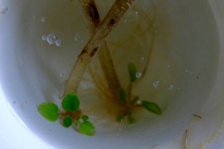 DSCF0114
