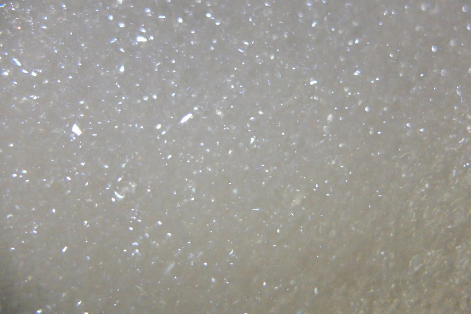 DSCF0092
