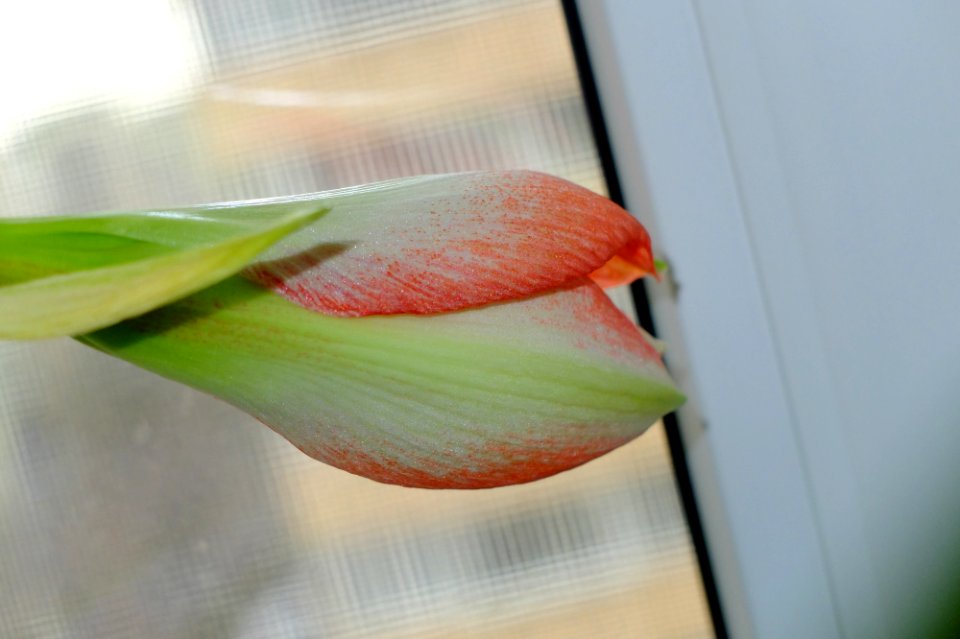 DSCF9884