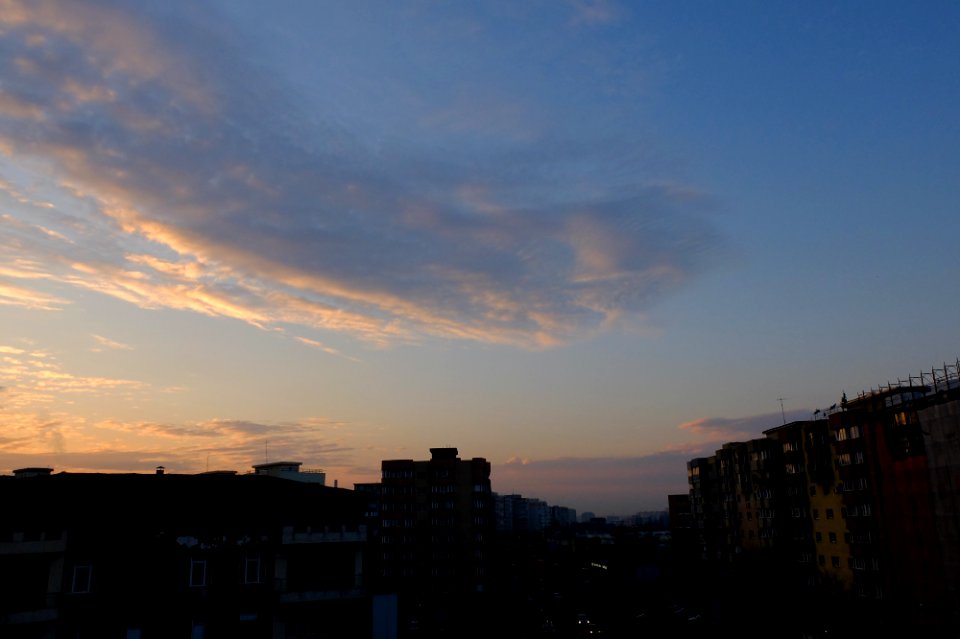 DSCF0050