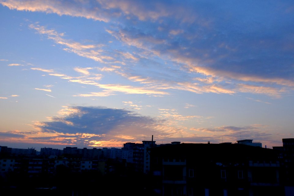 DSCF0037