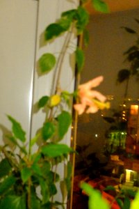 DSCF0023
