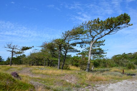 Dunes vacations summer photo