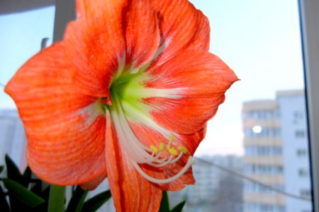 DSCF9974