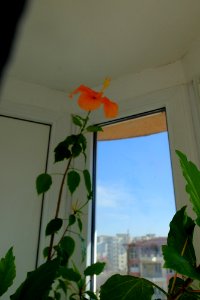 DSCF9825
