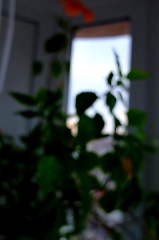 DSCF9820