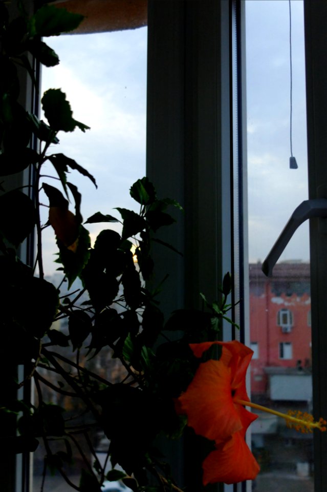 DSCF9818