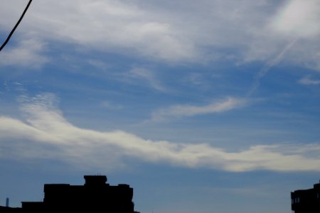 DSCF9724