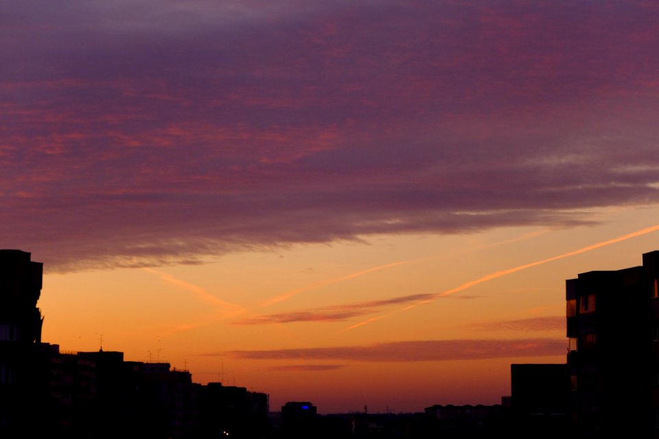 DSCF9688