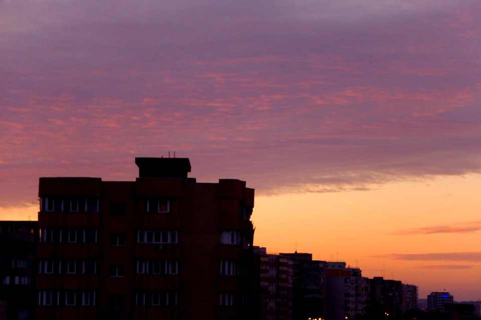 DSCF9686