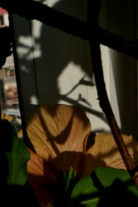 P2710789
