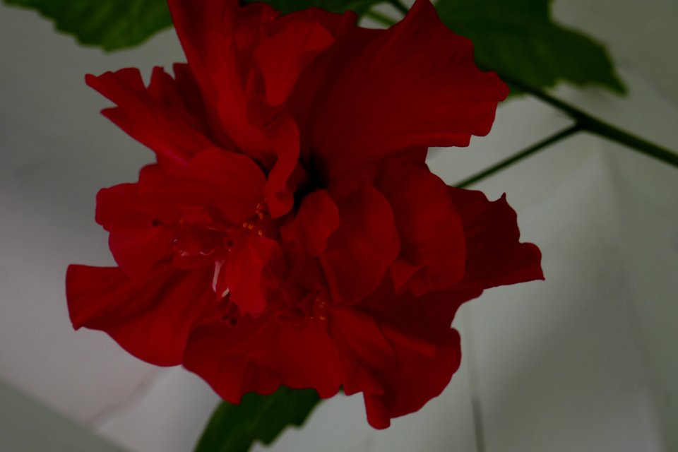 P2710766