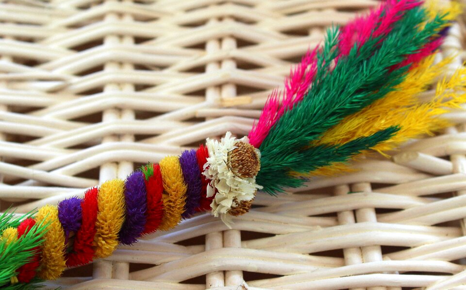 Wicker craft traditional