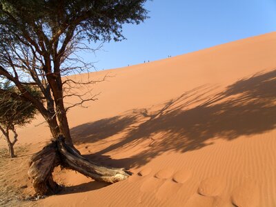 Dune namibia desert photo
