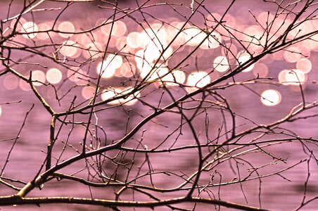 Twisted tangle bokeh
