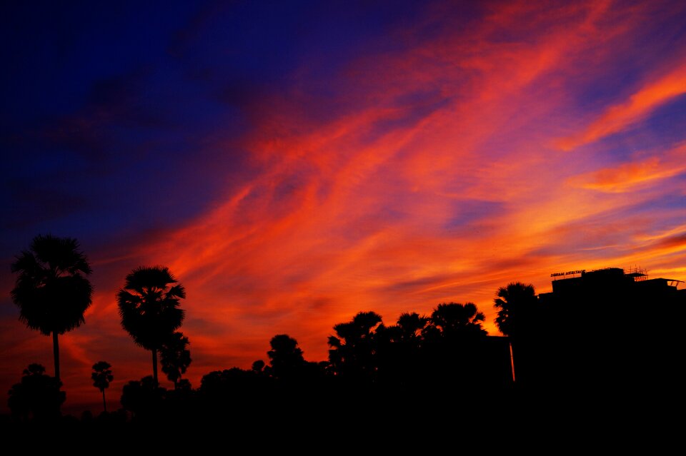 Orange nature sunset