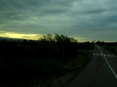 IMG_8461
