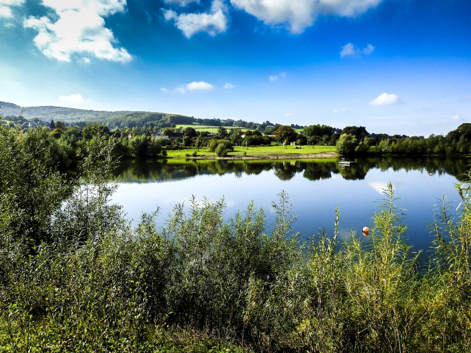 Nature pond water