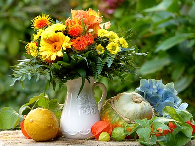 Autumn pumpkin gourd photo