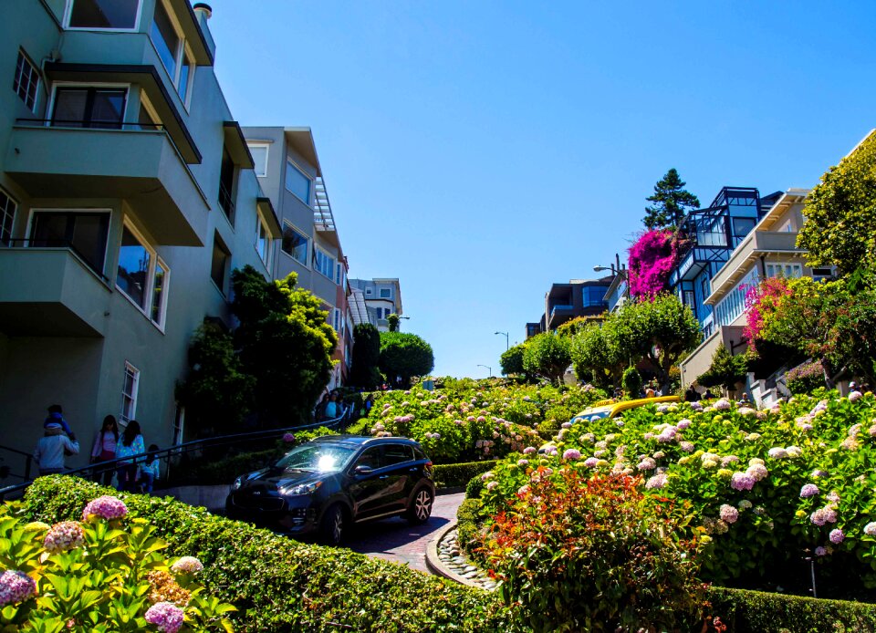 Usa san francisco flower street