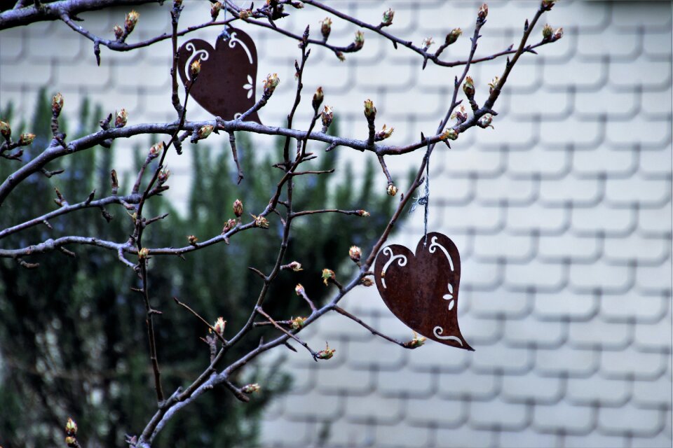 Heart metal at the court of