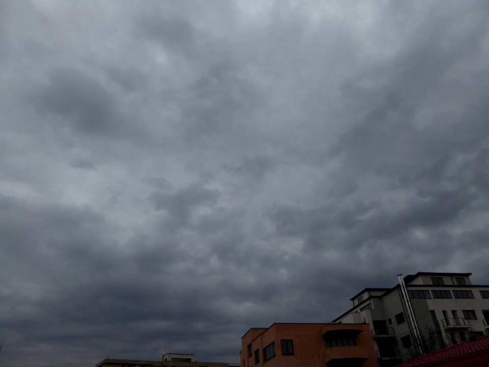 nori-HQ-NC2016_0205_102718