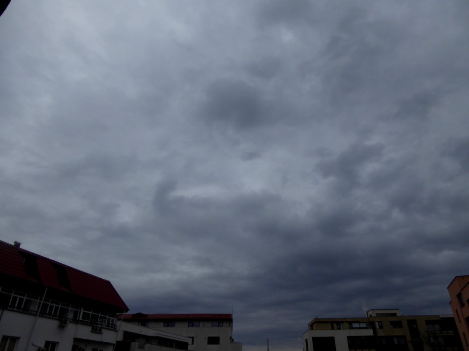 nori-HQ-NC2016_0205_102715