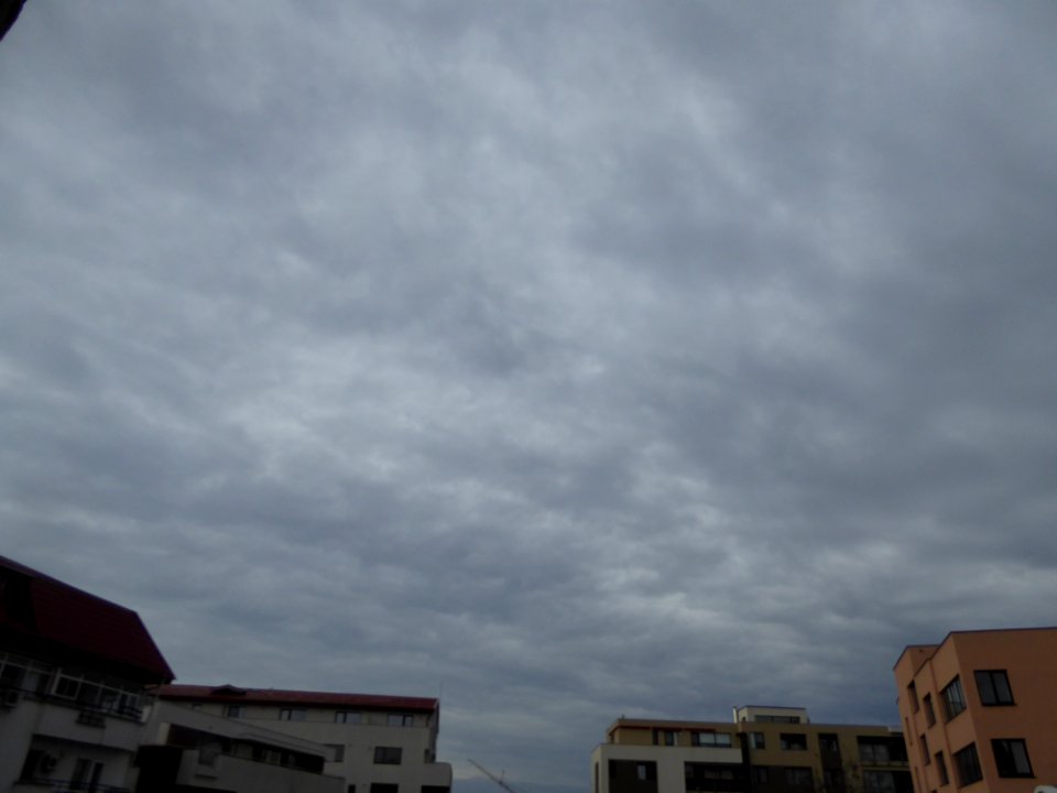 nori-HQ2016_0204_114220