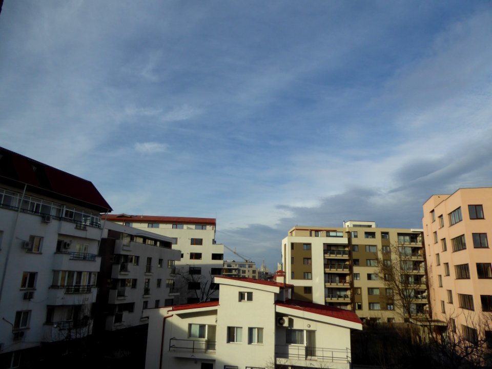 nori-HQ2016_0204_104111