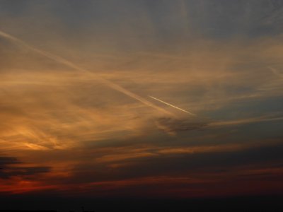 apus_LaculMorii2015_0909_194220