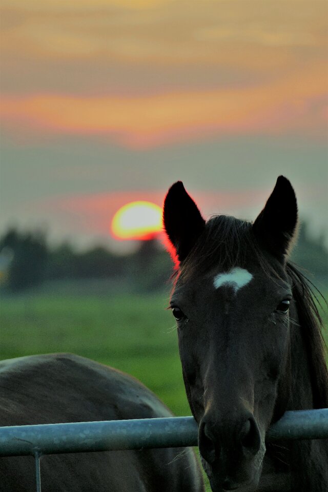 Dusk nordfriesland afterglow