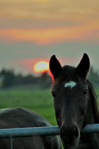 Dusk nordfriesland afterglow