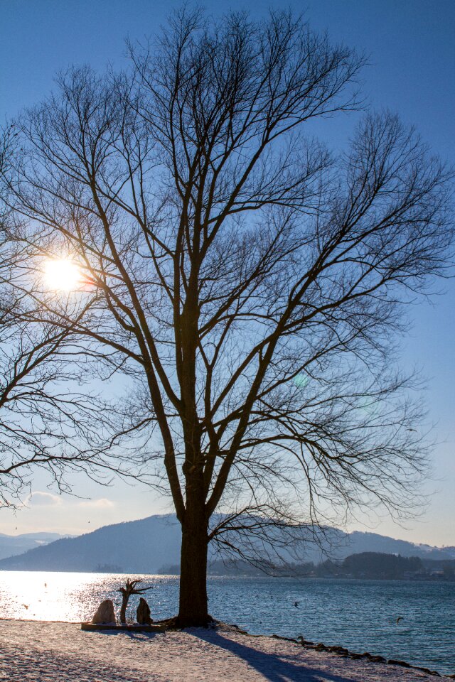Nature backlighting atmosphere