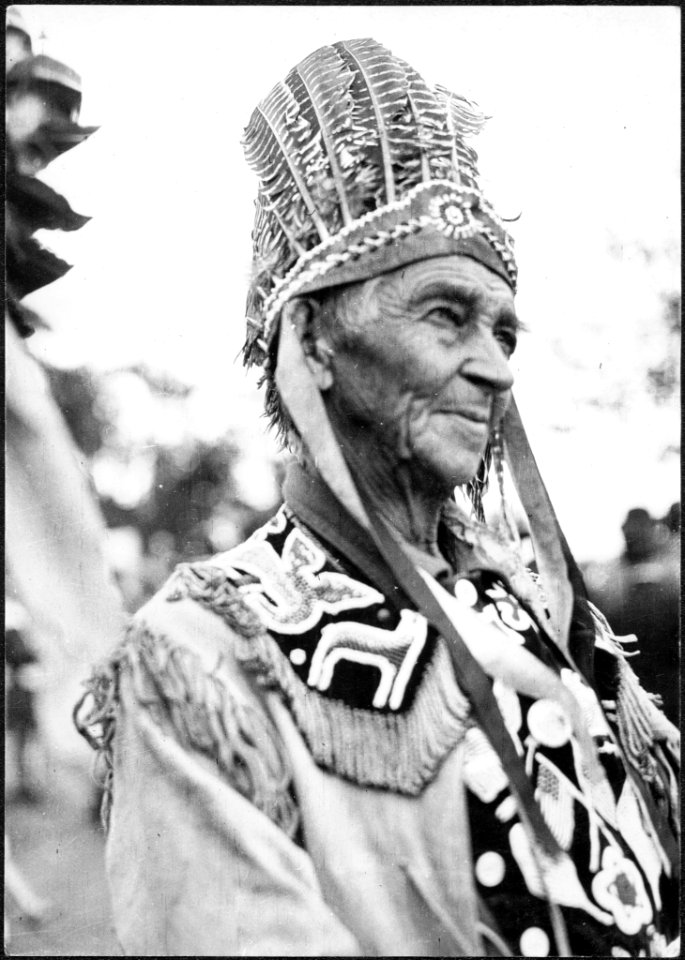 American Horse, a Caughnawaga Indian [Twanietanekan, als…