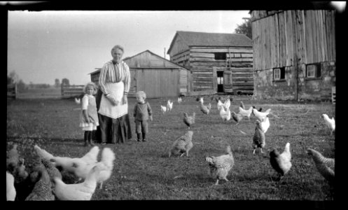 Woman and two young children standing in a farm yard, with… photo