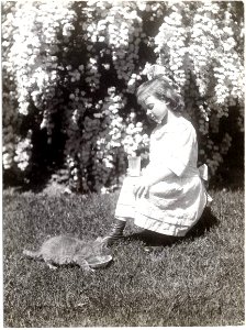 Young girl feeding a kitten photo