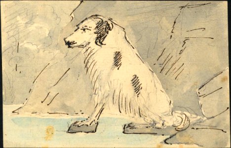 Sketch of a dog photo