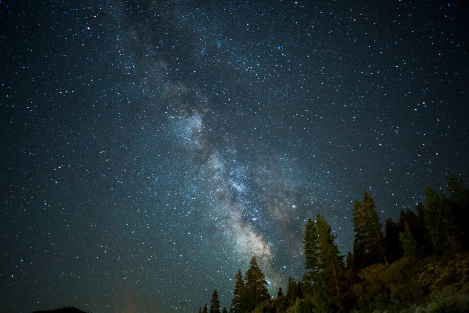 Galaxies trees green