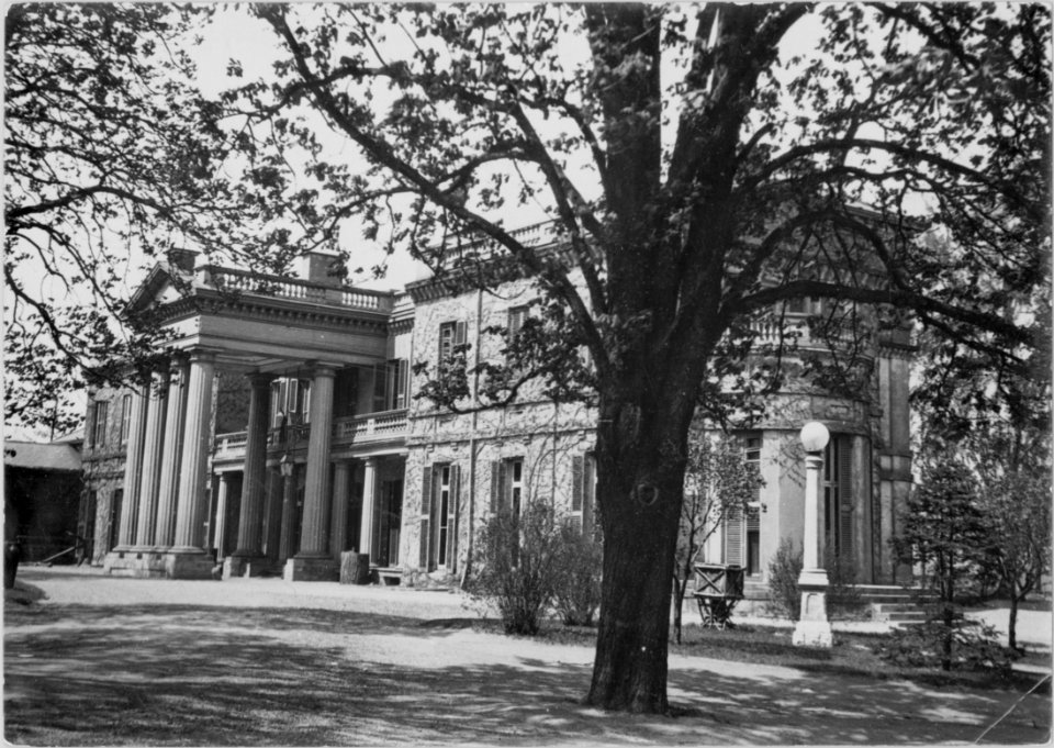 Dundurn Castle - Hamilton. A favourite place for picnic p… photo