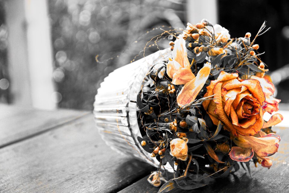 Dry flower bouquet black white nostalgic