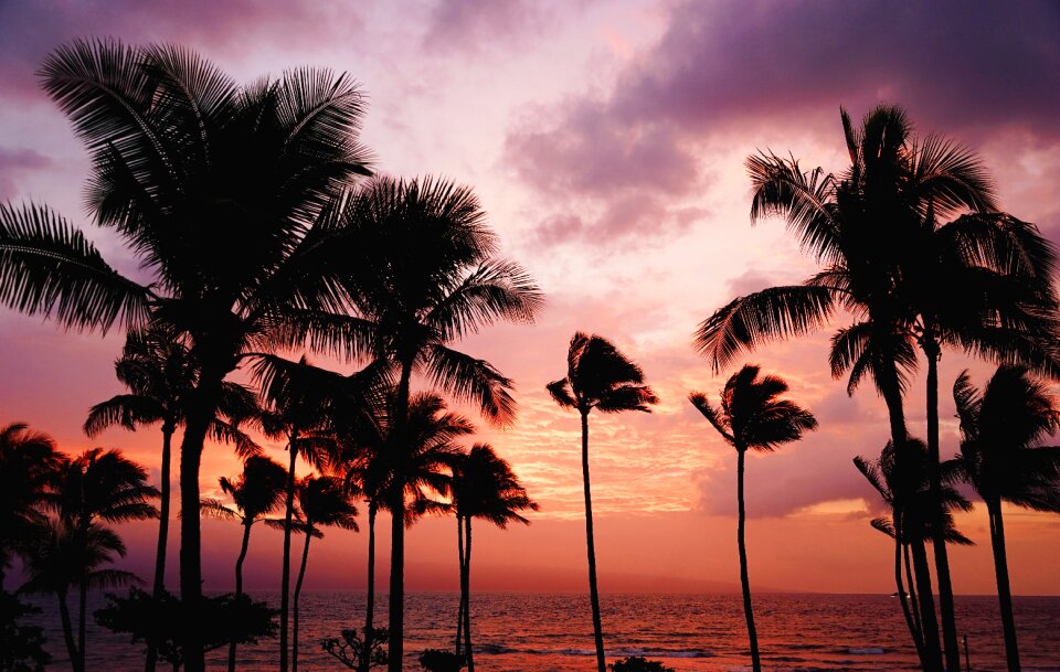Sea sunset vacation