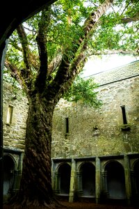 Killarney ruin ireland